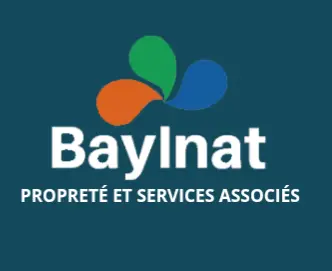 www.bayinat-ci.com